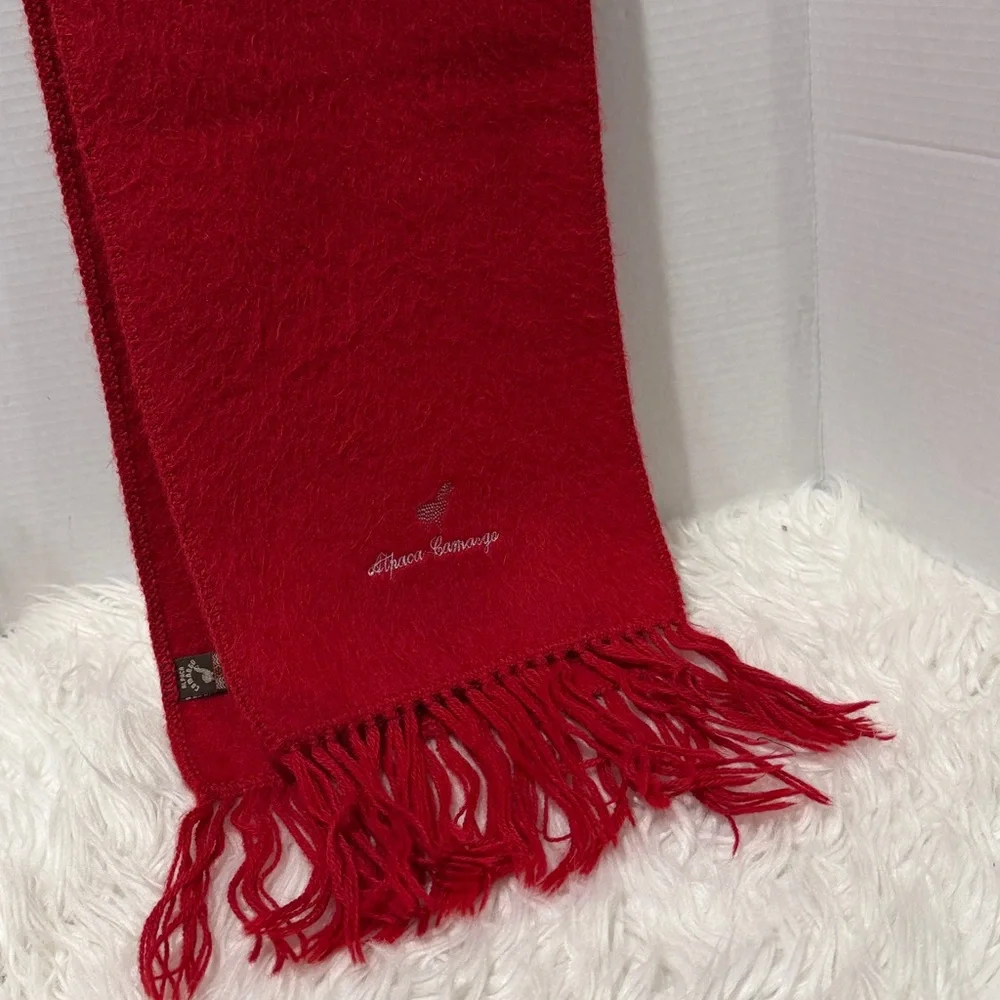 Alpaca Camargo experience elegance